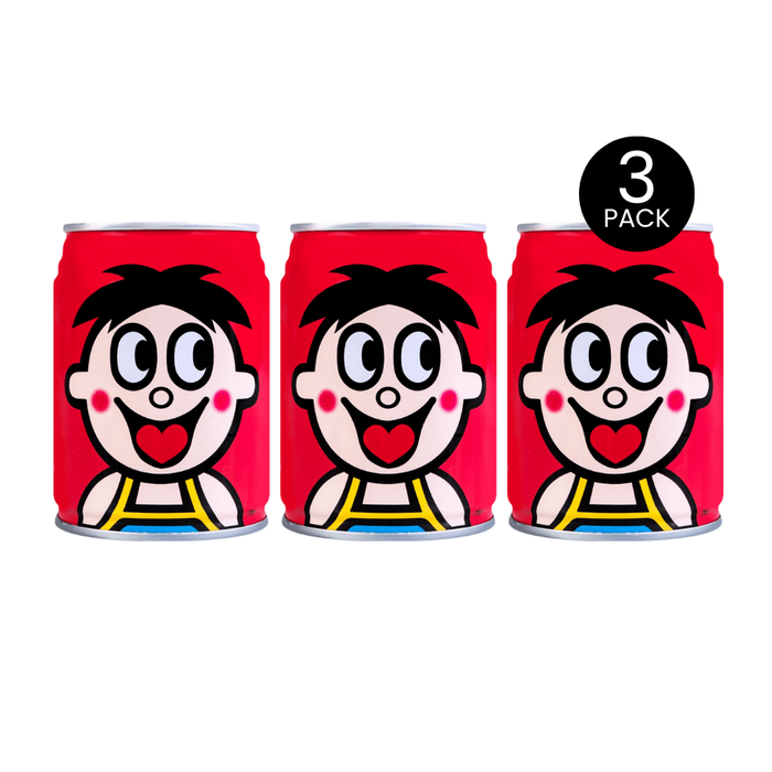 Want Want Fruit Sweet & Creamy Flavor Milk Drink, 245ml