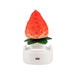 Deshi Fruit Whisper Strawberry Shaped Ice Bar, 3pc x 75g Exotic Snacks Company