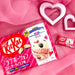 Japanese KitKat Baskin Robin Raspberry Buttercream Flavor KitKat